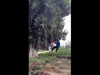 wool selection | @videfunny