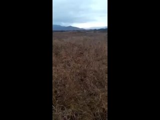 video from @videfunny | @videfunny