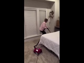 funny selection | @videfunny