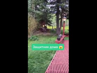 clip @videfunny | @videfunny