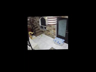 clip @videfunny | @videfunny