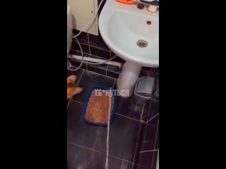 clip @videfunny | @videfunny