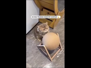 video from @videfunny | @videfunny