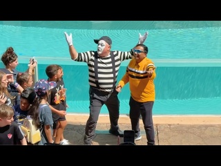 tom mime is better than therapy and free - [eryka travel]