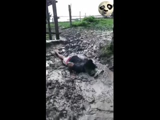 mom will still give the head start to all young. | @videfunny
