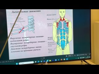 “swedish massage. work with breathing pattern »articulation of the upper ribs. a. yakovlev