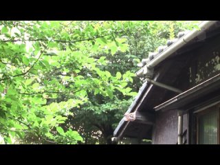 juy-059-u