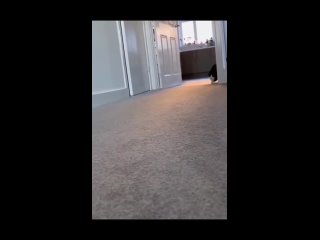 video from @videfunny | @videfunny