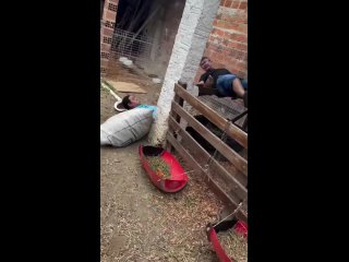they just decided to get to know each other better. | @videfunny