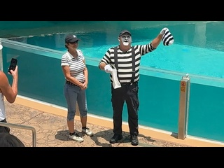 the crowd cannot stop laughing at mima tom - [eryka travel]