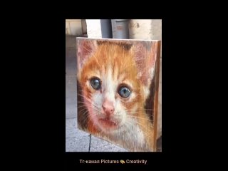 video from @videfunny | @videfunny