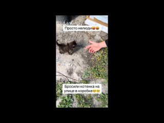 video by is overheard a great ustyug