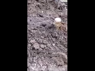 weather forecast | @videfunny