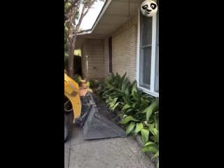why only these girls swallow garlands. | @videfunny