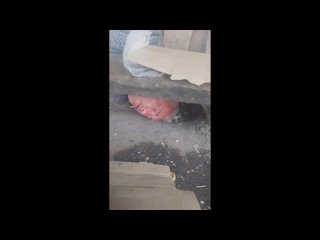 video by is overheard a great ustyug