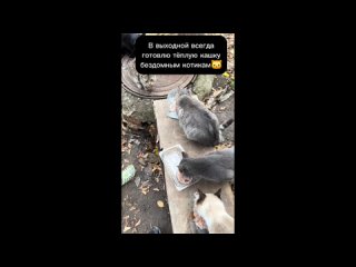 video by eavesdropped find